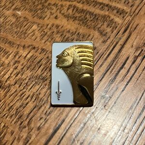 American Cancer Society (ACS) "Sword of Hope" Lapel Pin